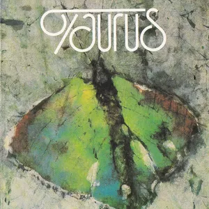 Illusions of a night